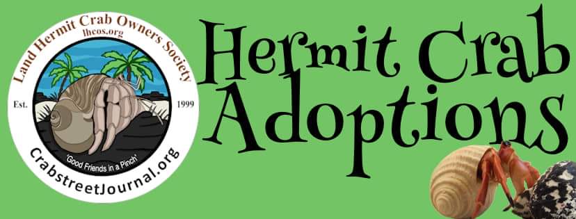 Hermit Crab Adoption Program